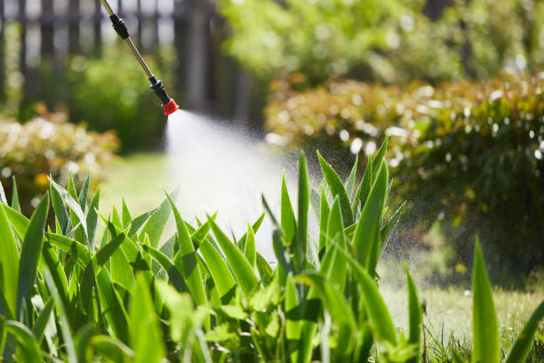 Tamper-Resistant Bait Stations for Rodents in Basin