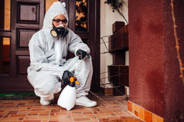 Attic and Crawl Space Rodent Treatment in Basin