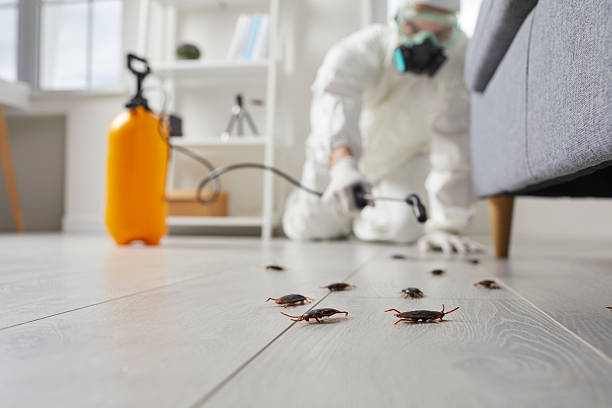 Commercial Rodent Management in Basin